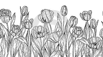 Seamless horizontal vector pattern garden tulips Vector Illustration